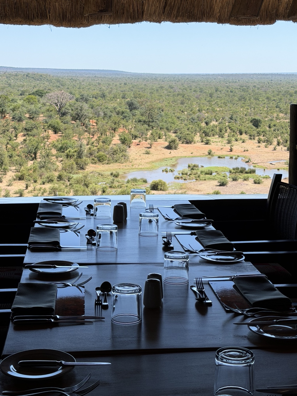 Safari lodge dining area with a bush view